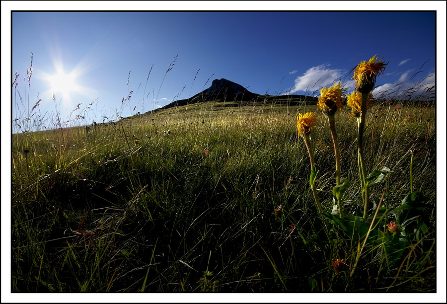Un ultimo sguardo alla cima...