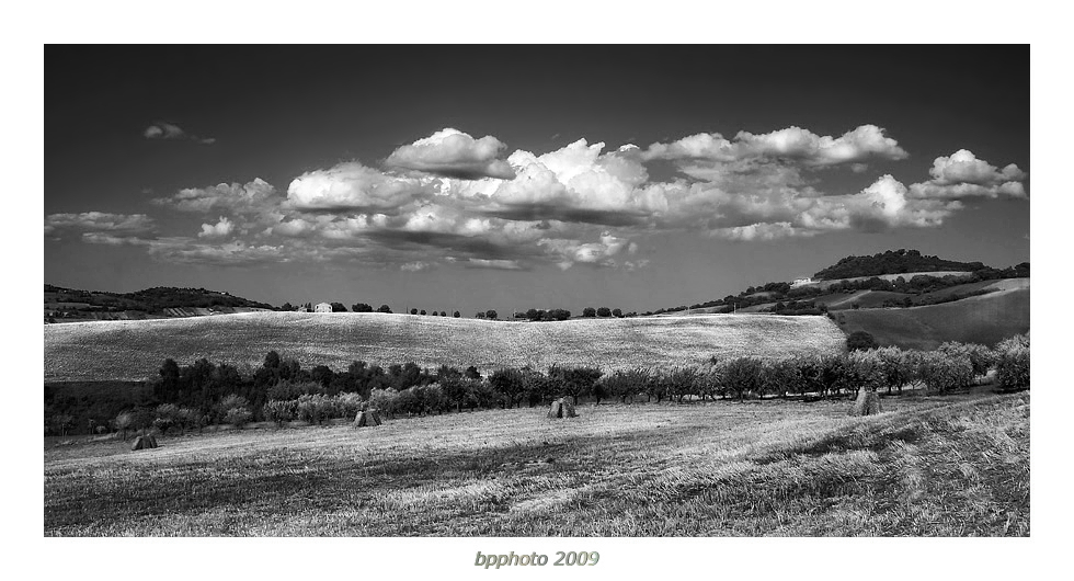 ...country summer...