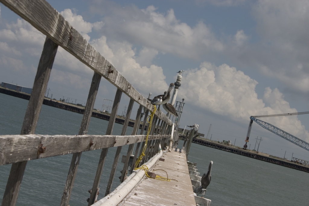 Il pontile dell' universit�, TX