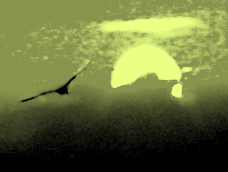 icharus' dream  in bw