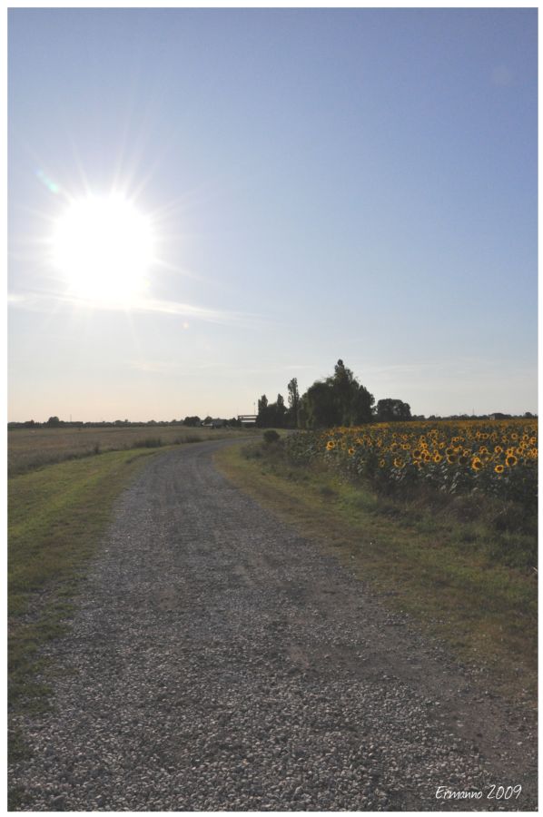 Stradina di campagna