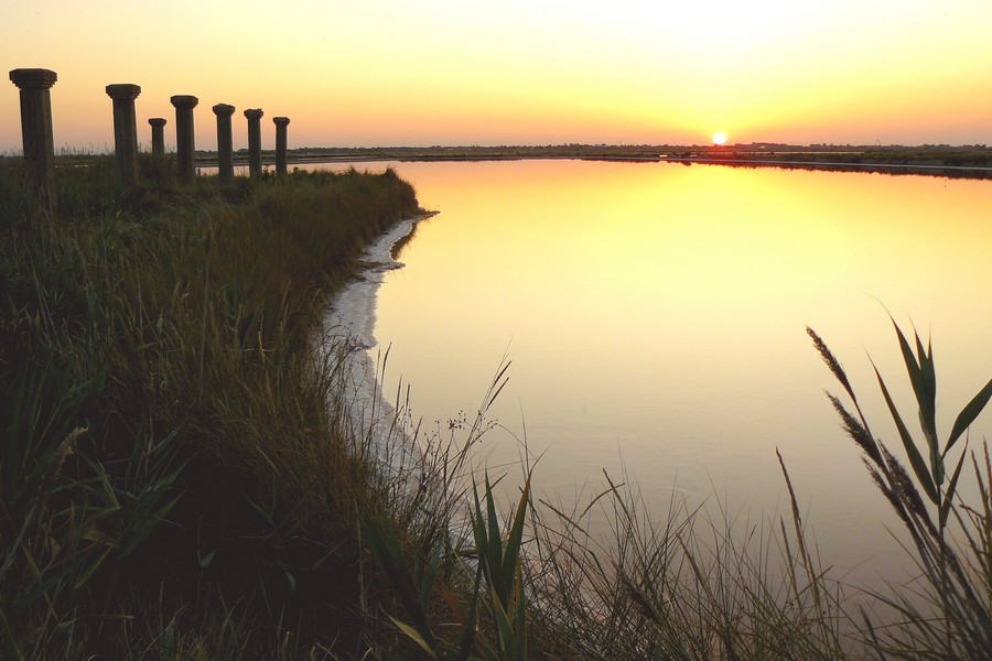 Saline di Cervia