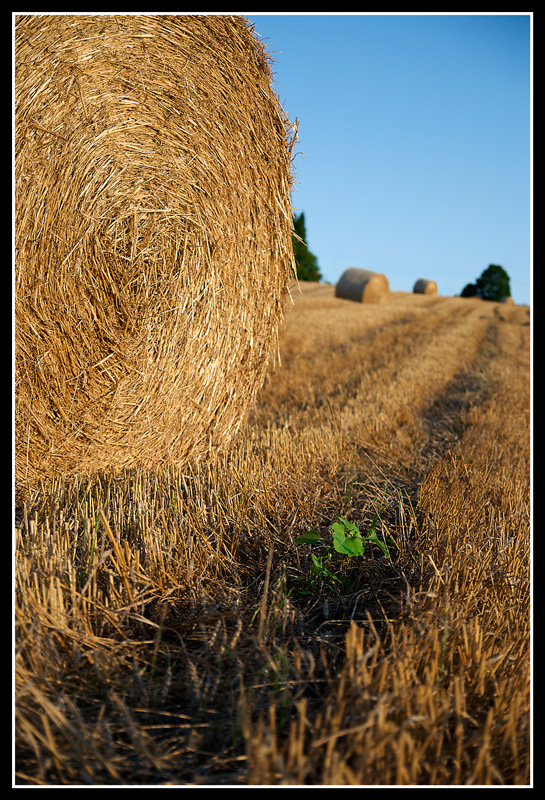 Per la stessa strada...