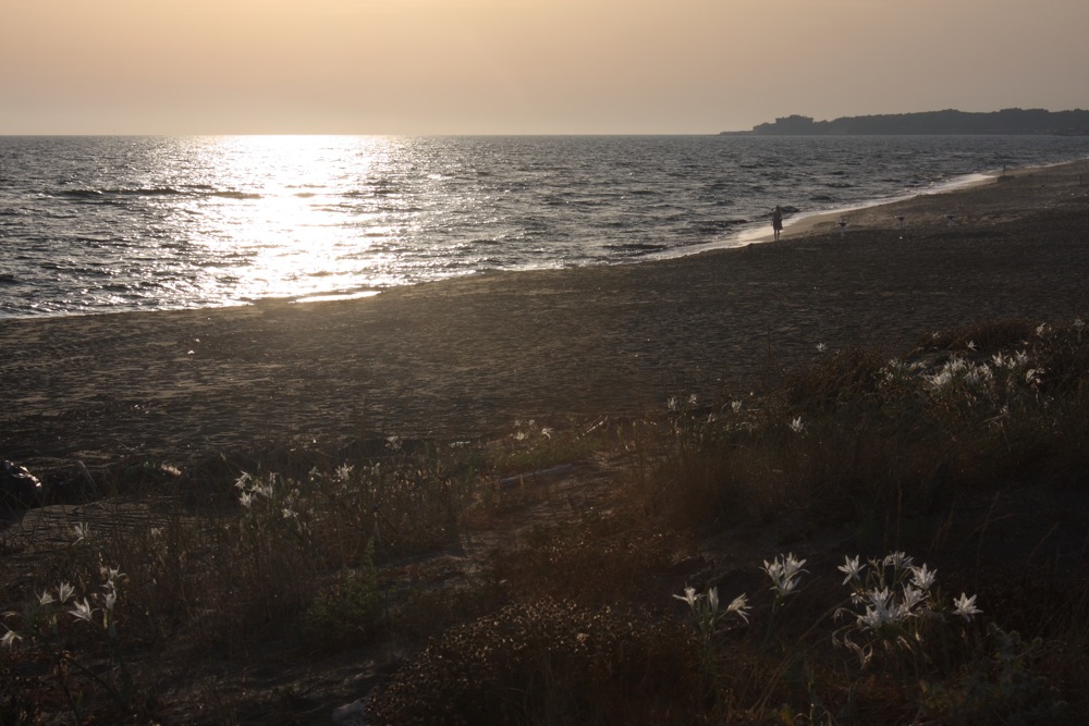 Passeggiando, pensando..