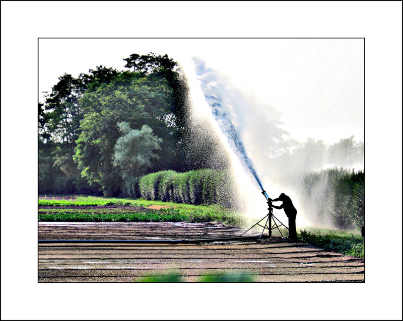 fatte d� na regolata...