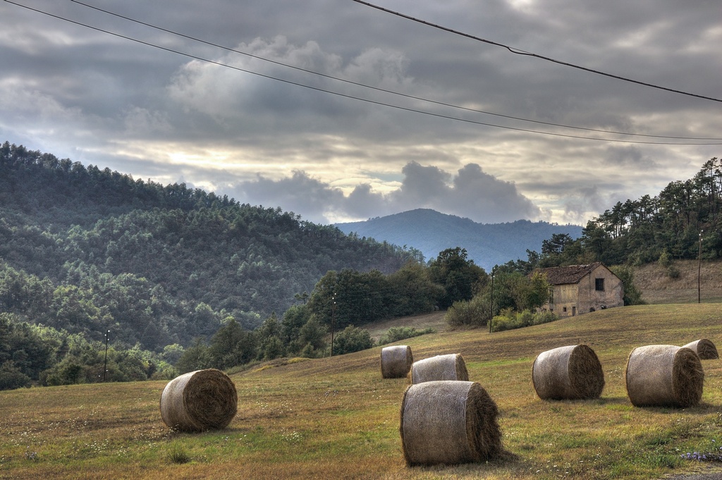 Rotoli di fieno a Sassello (HDR)