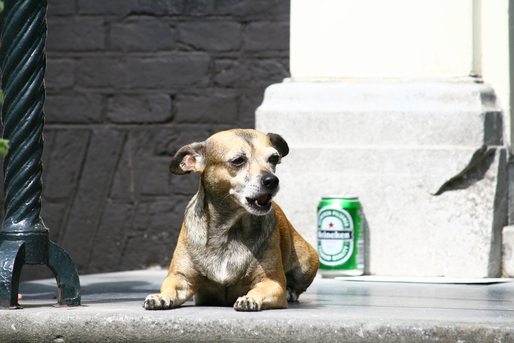 Relax dopo una Heineken