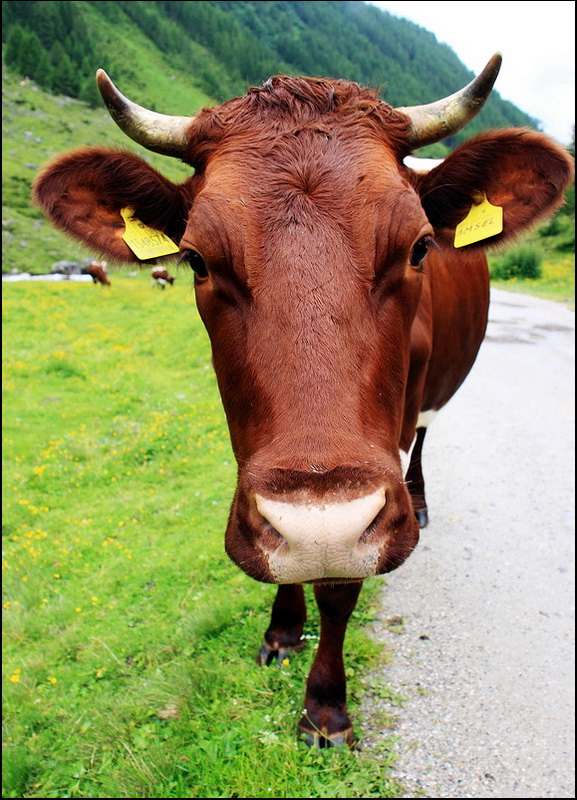 Incontri ravvicinati...di un certo tipo