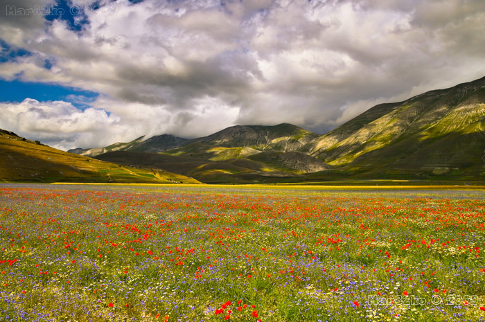 castelluccio