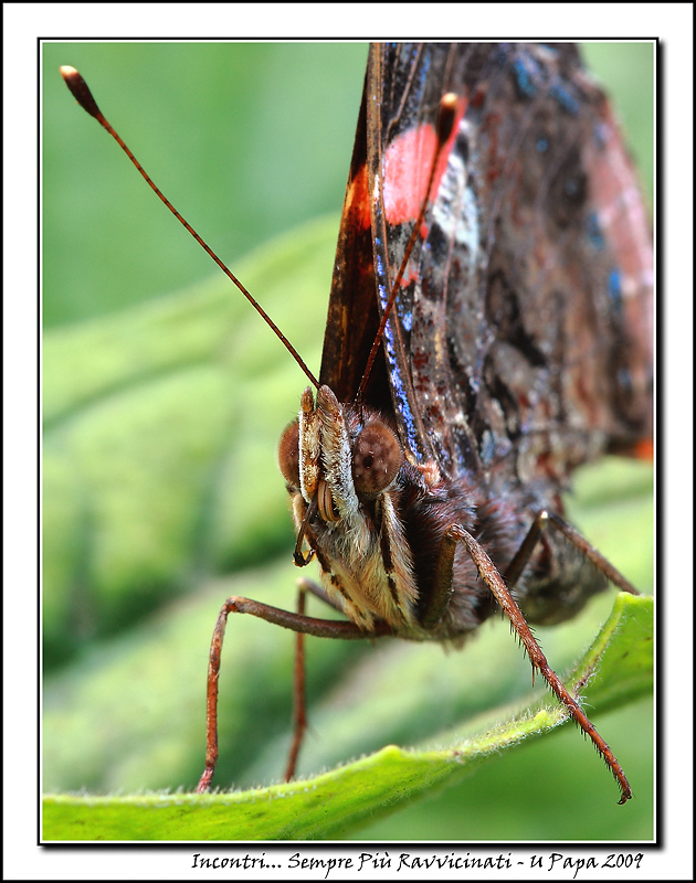 Incontri... Sempre Pi� Ravvicinati