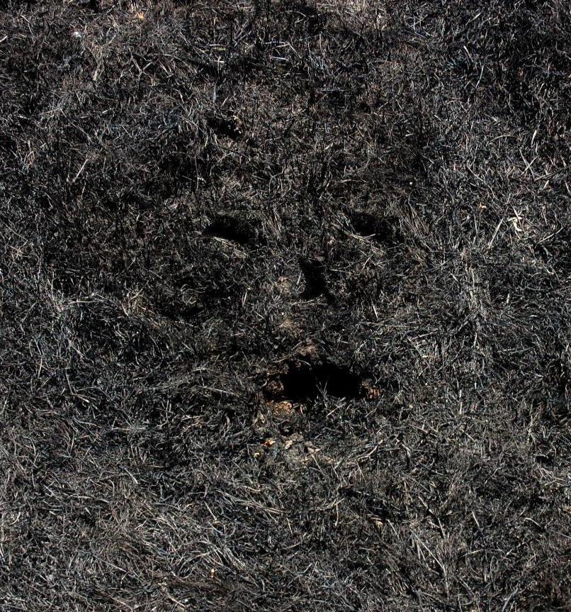 Sardegna - Il volto della mia terra offesa