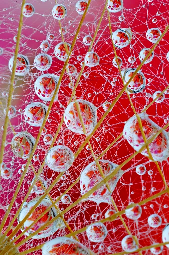 Una gabbia per i colori