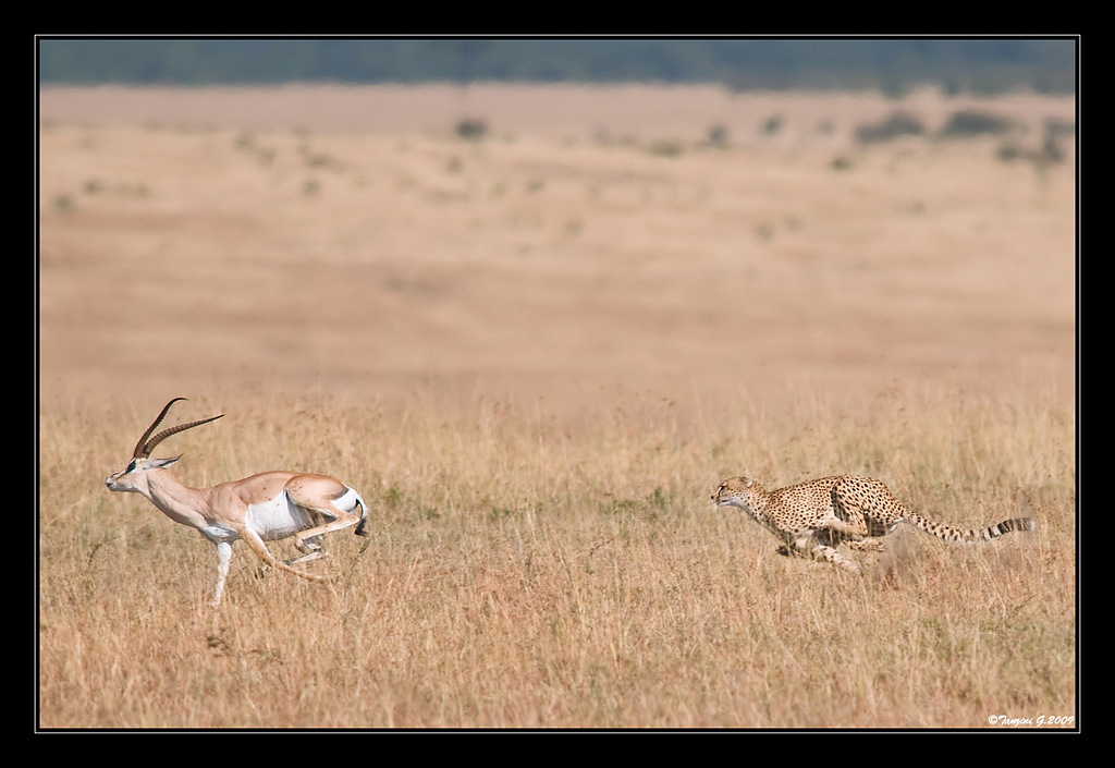 Una corsa per la vita
