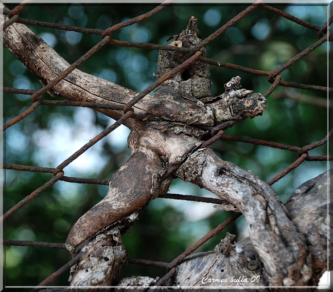 Liberatemiiiiiiiiiiiii