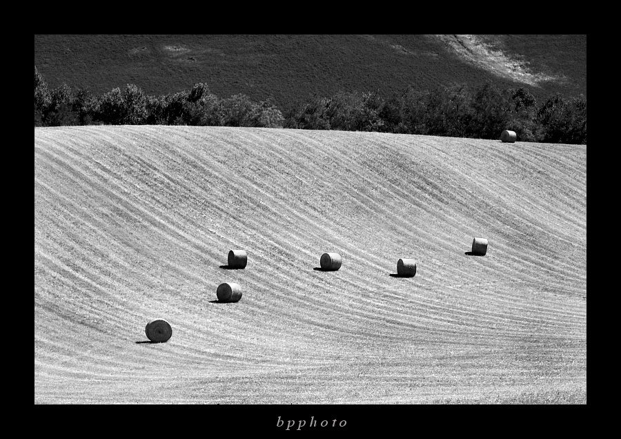 ...rotolando . ^ .  '...