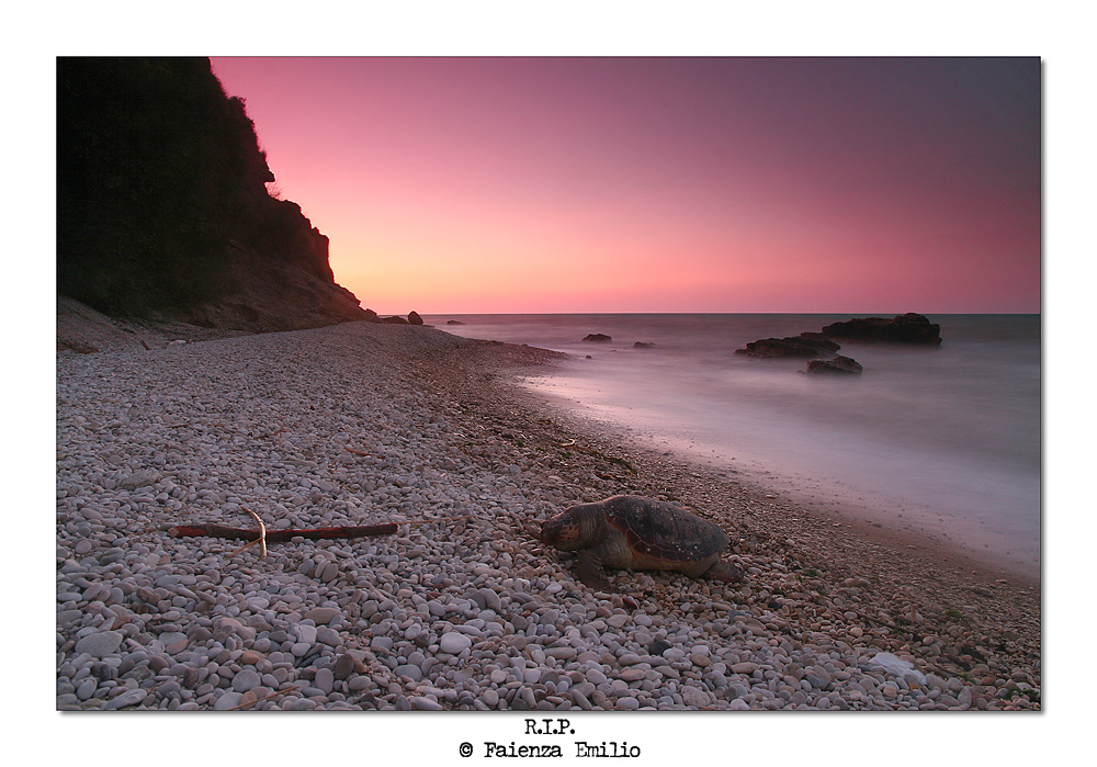 R.I.P.    INCONTRI INCREDIBILI