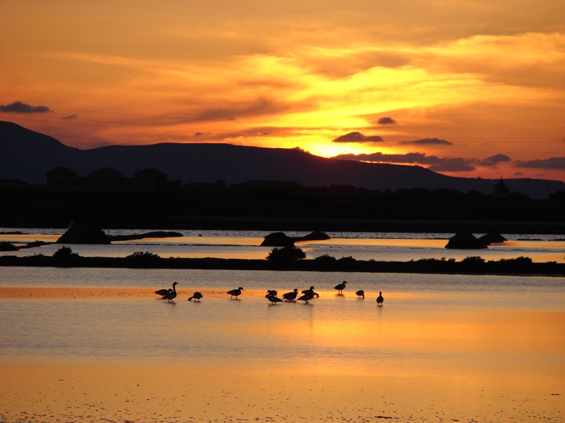 Tramonto alle saline
