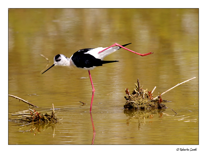 Ginnastica mattutina