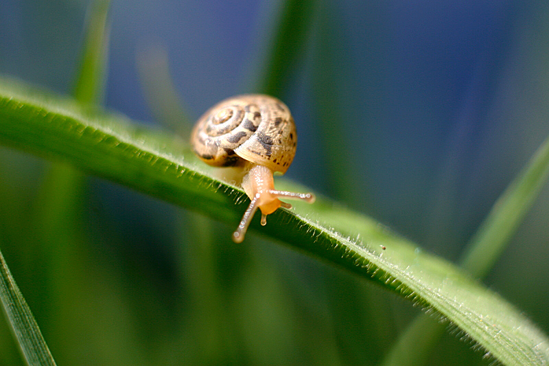 Oh Oh...� un p� altino!!