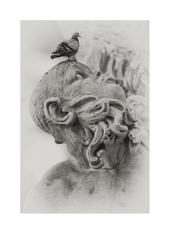 Perplessit�....fronte