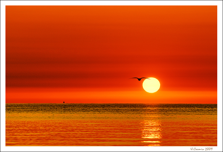 Un nuovo giorno di Agosto