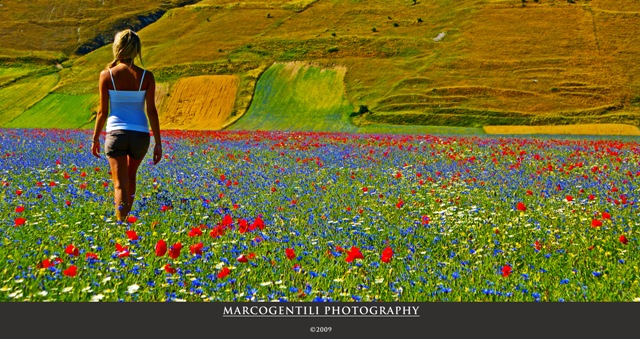 La bellezza in un'immagine