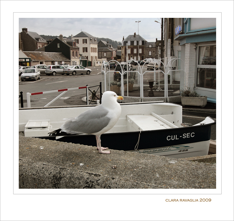 Fammi leggere meglio... ??