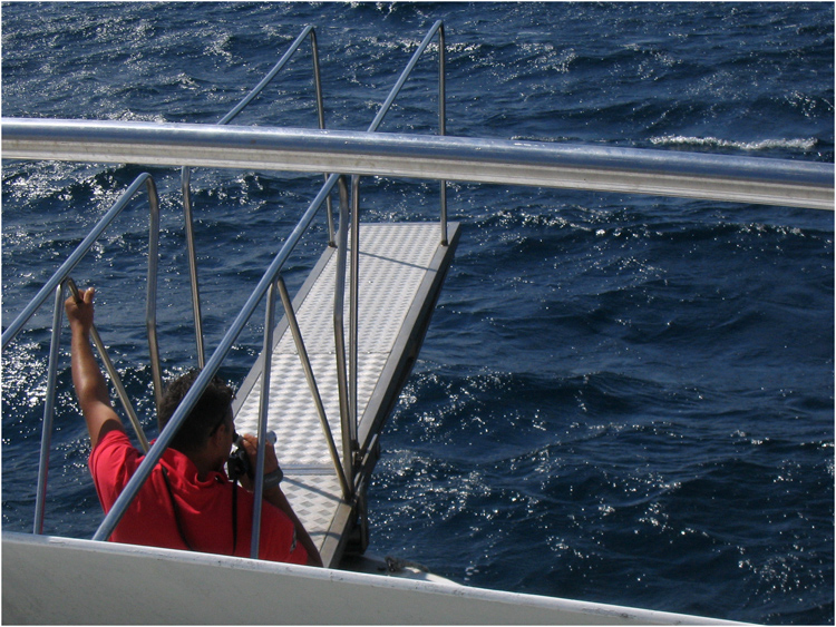 Cosa riprender� poi?!?