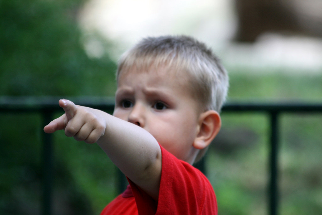 Cosa � quella cosa laggi�?