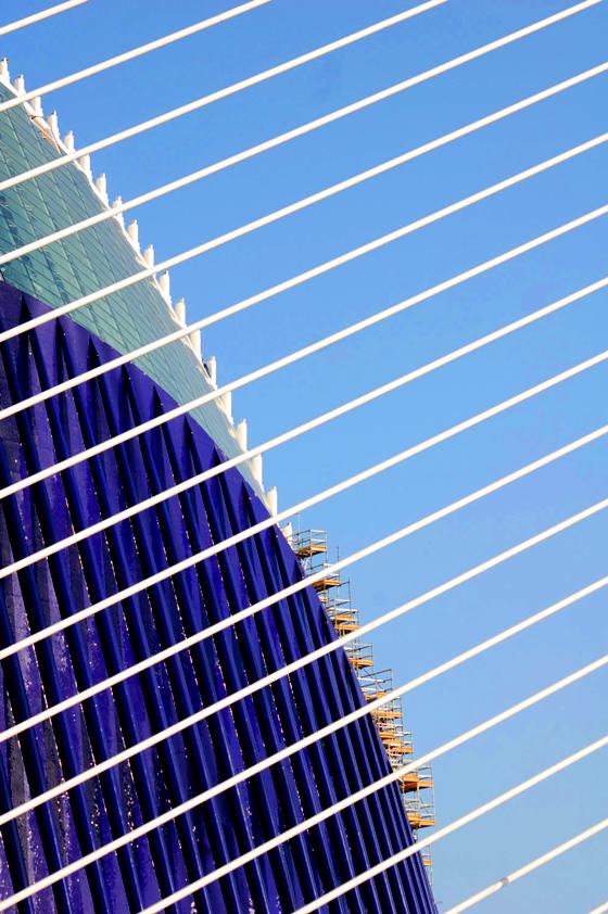 Linee rette e linee curve