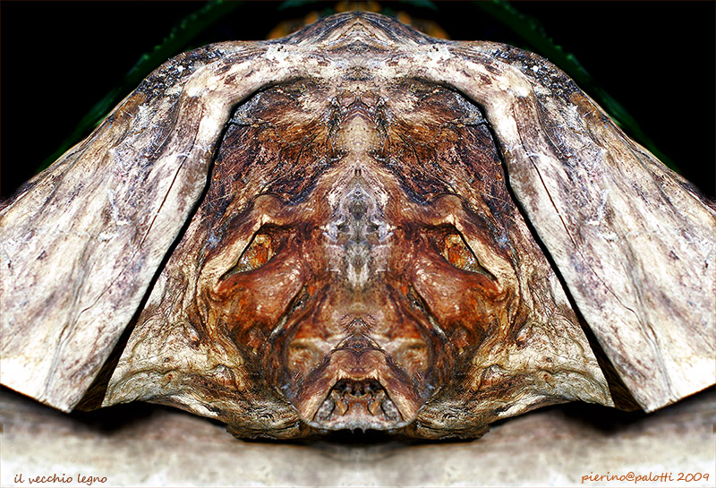 il vecchio legno egiziano