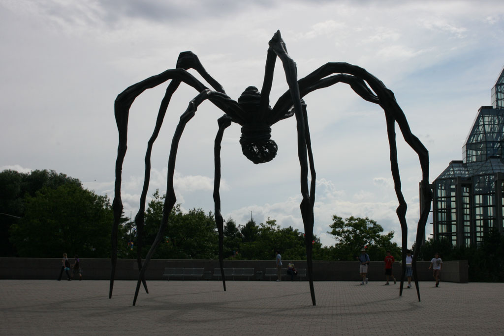 ragno gigante a ottawa