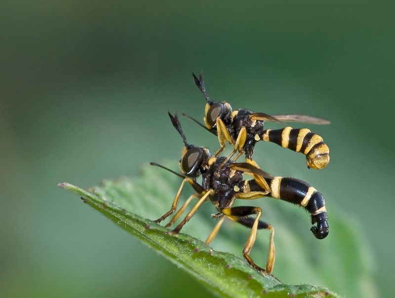 mi dai un passaggio?