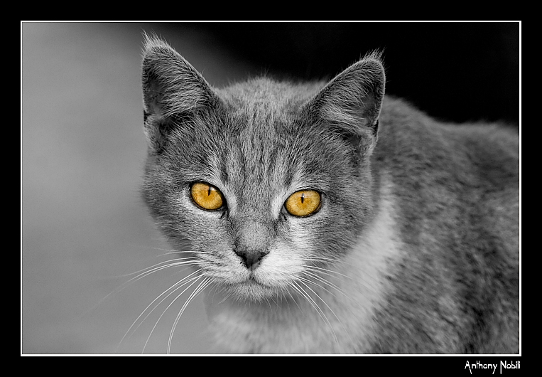 desaturazione parziale