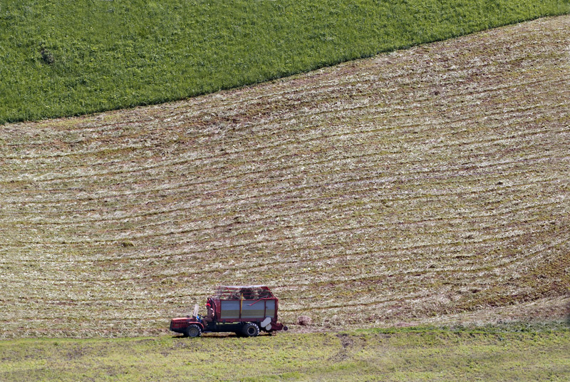 Il geometra della natura