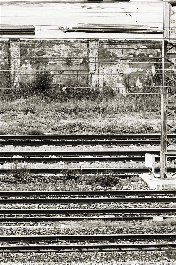 Lines