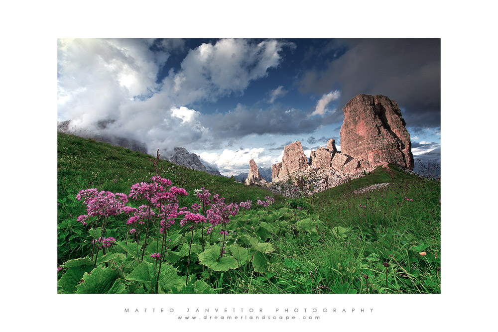 The Wild Gardeen of Towers L.V.