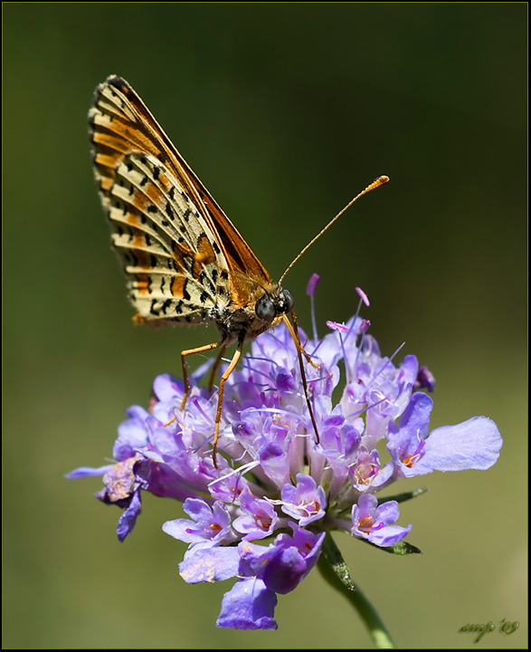 uno sguardo preoccupante