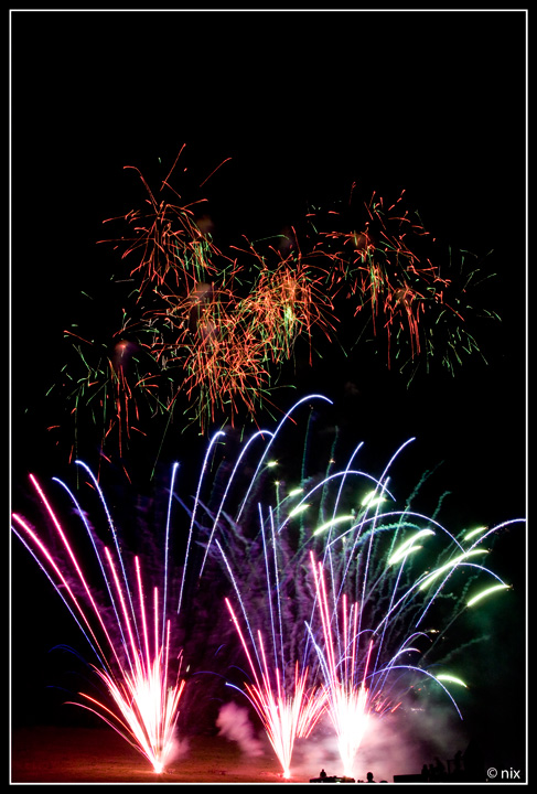Santa viola 2009