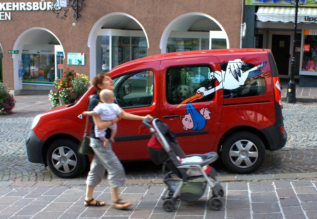 Cicogna metropolitana