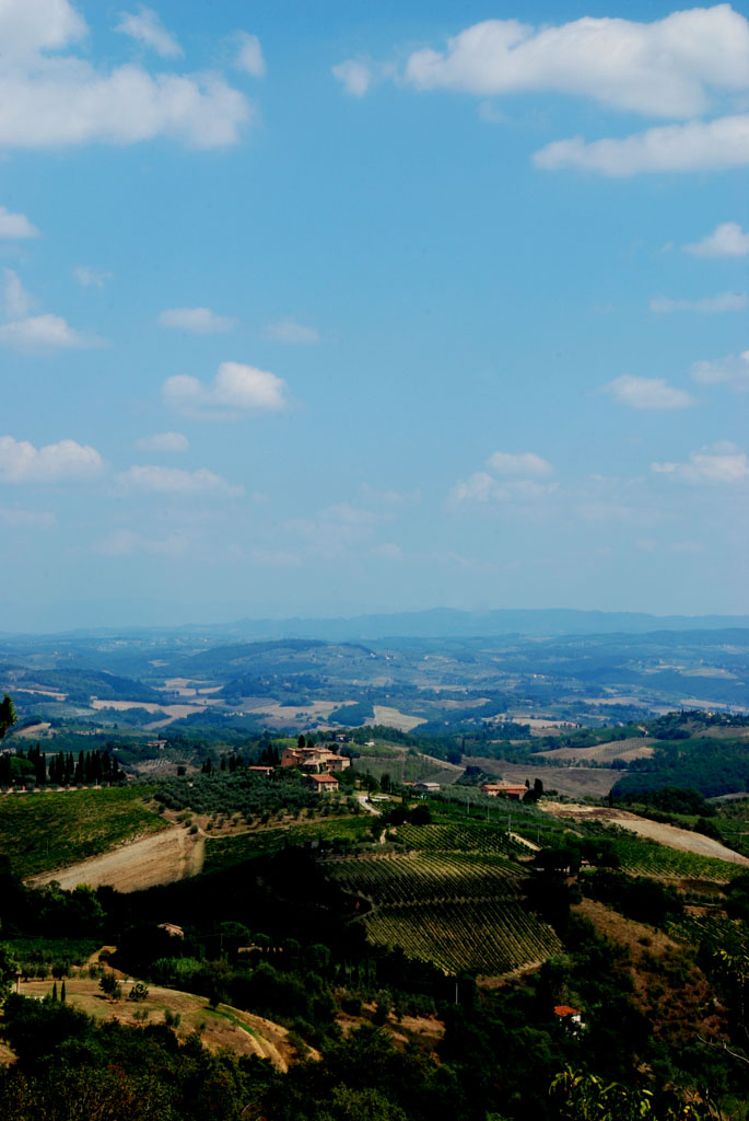 colline senesi
