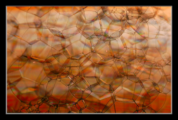 Giocando con le bolle