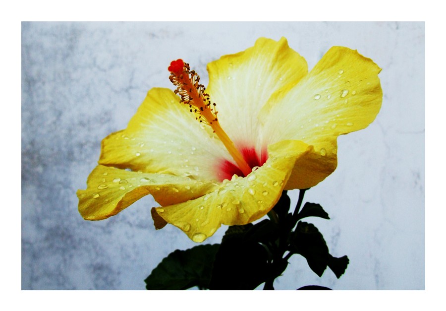 prima pioggia di fine estate