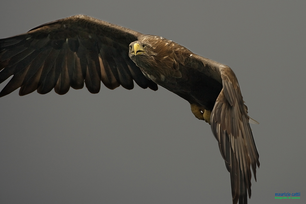 Troppo ..... vicino!