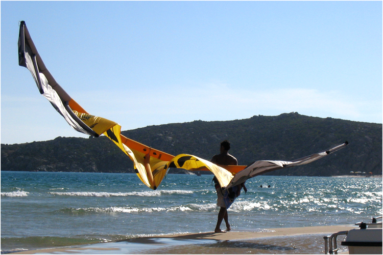 Ci vogliono le ali per poter volare