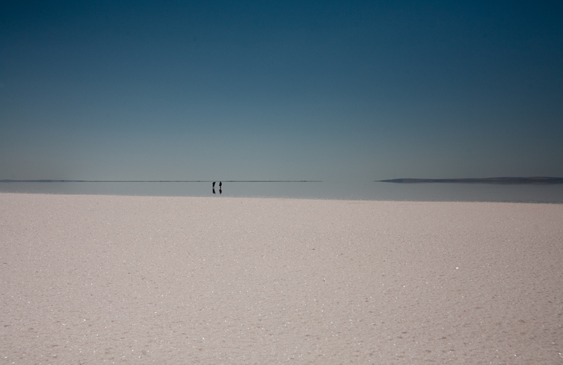 di sale e di azzurro