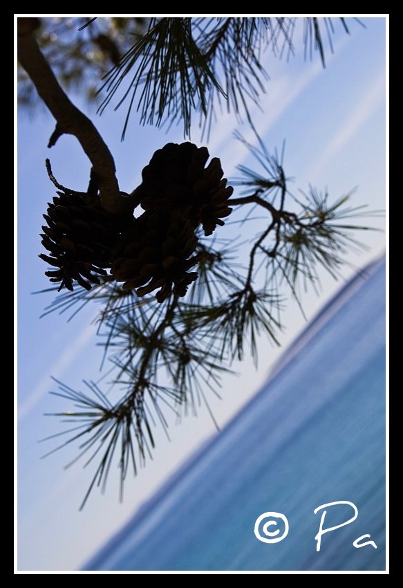 nel blu dipinto di blu