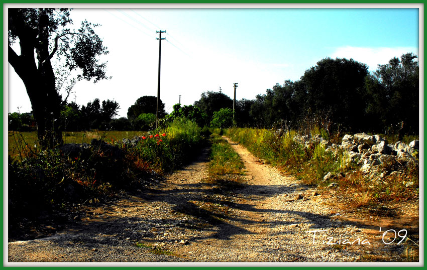 ...chiss� dove porter�?