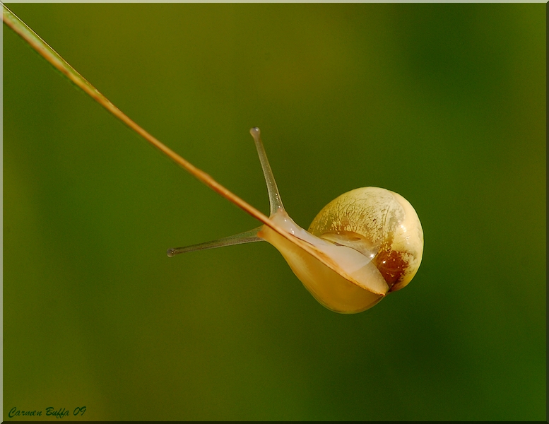 Per la strada giusta
