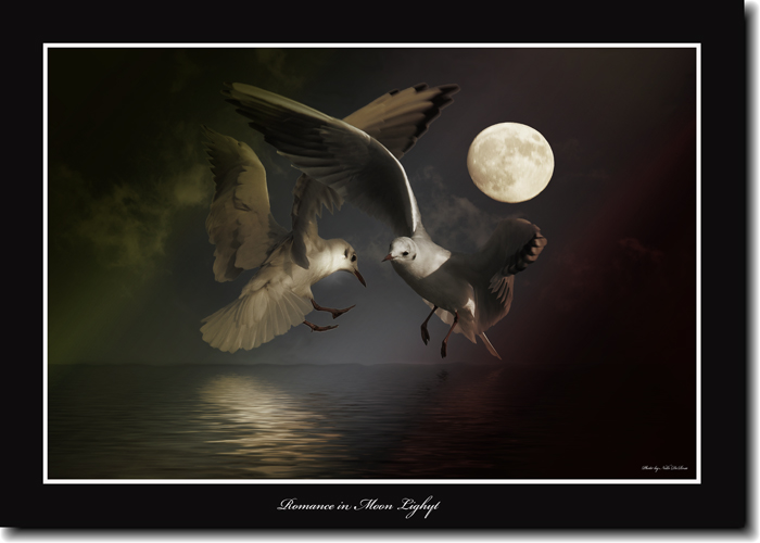 Romance in moon l�ight